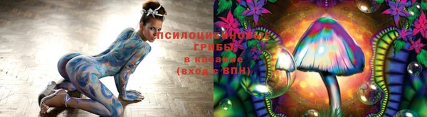 соль курить ск Алзамай